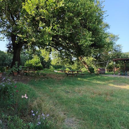 Agriturismo Il Casalino Pari Eksteriør billede